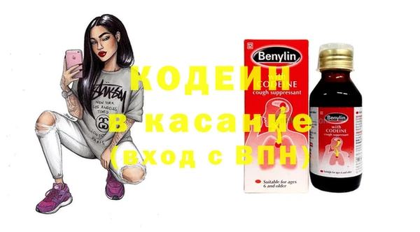 крисы Горняк