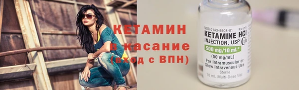 крисы Горняк