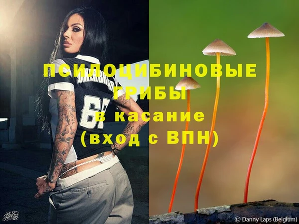 крисы Горняк