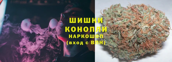 крисы Горняк