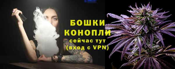гашик Горно-Алтайск