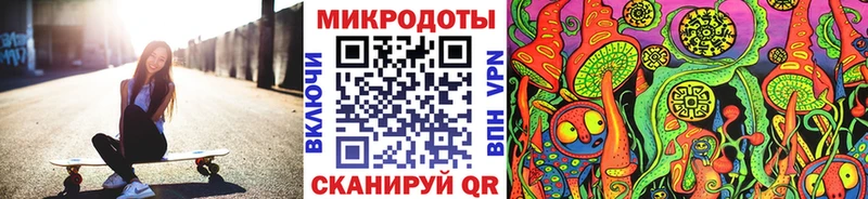 Галлюциногенные грибы прущие грибы  Чернушка 